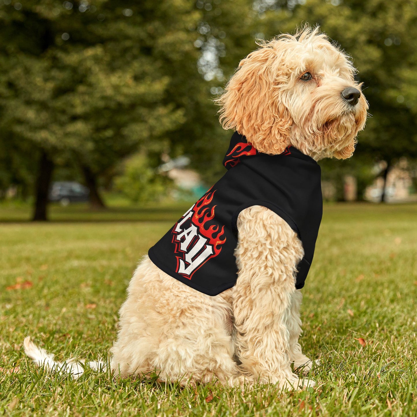Pet Hoodie — 'Ruff Play' Flame Graphic Dog Hoodie