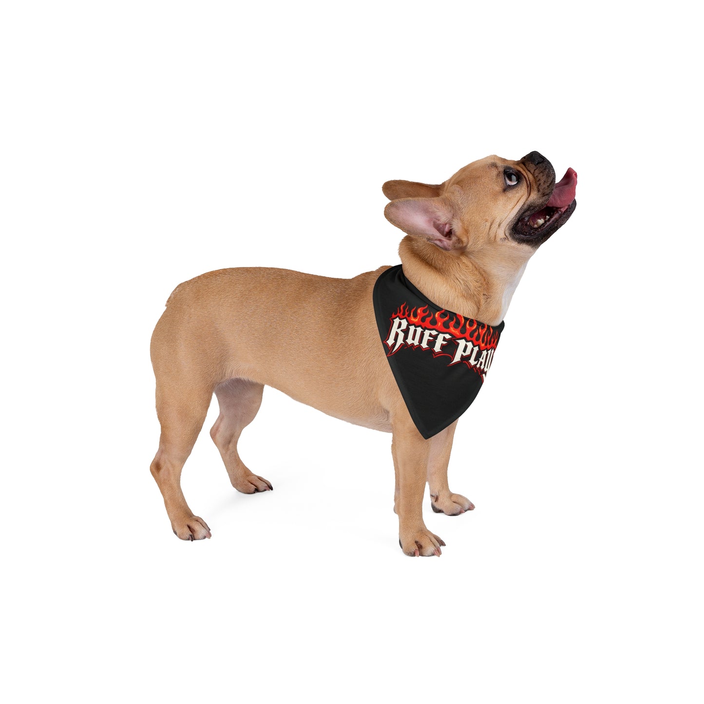 Pet Bandana — "Ruff Play" Flame Graphic Dog Bandana