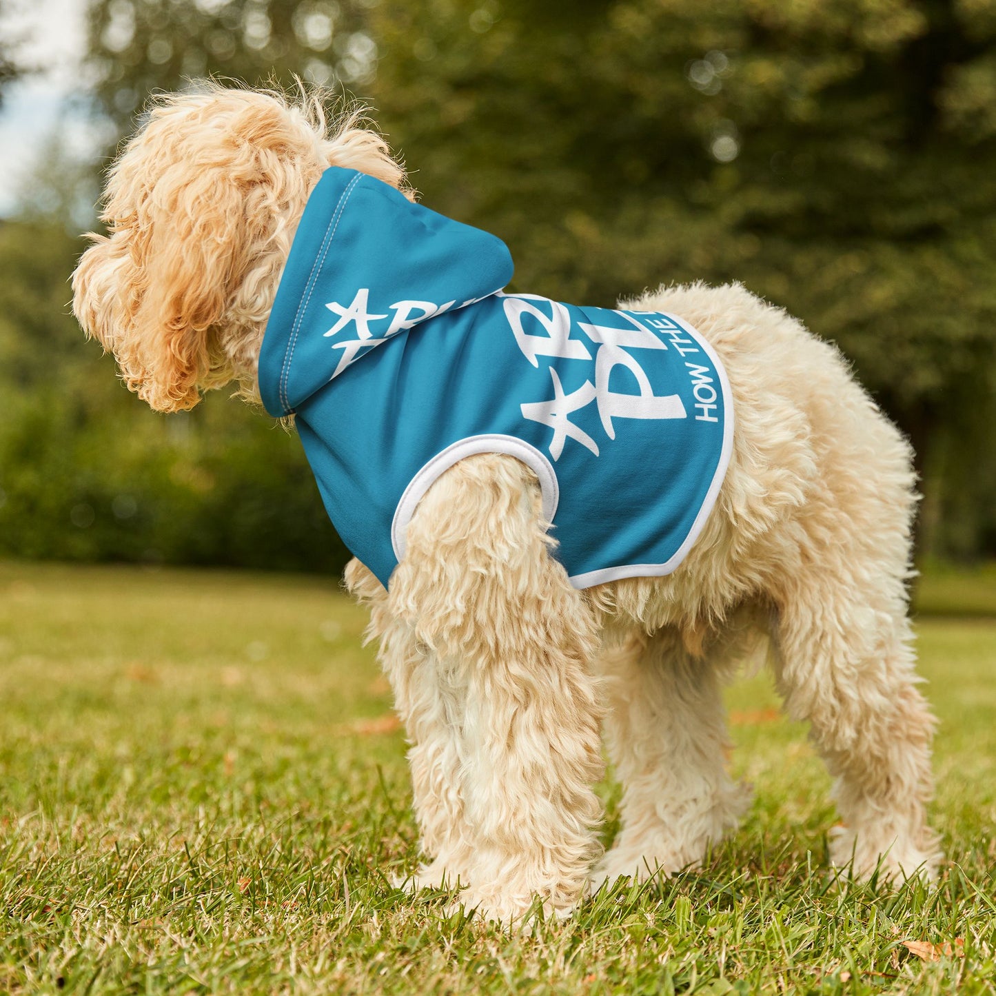 Pet Hoodie — 'A Ruff Play' Blue Dog Hoodie (How the Dogs Chill)