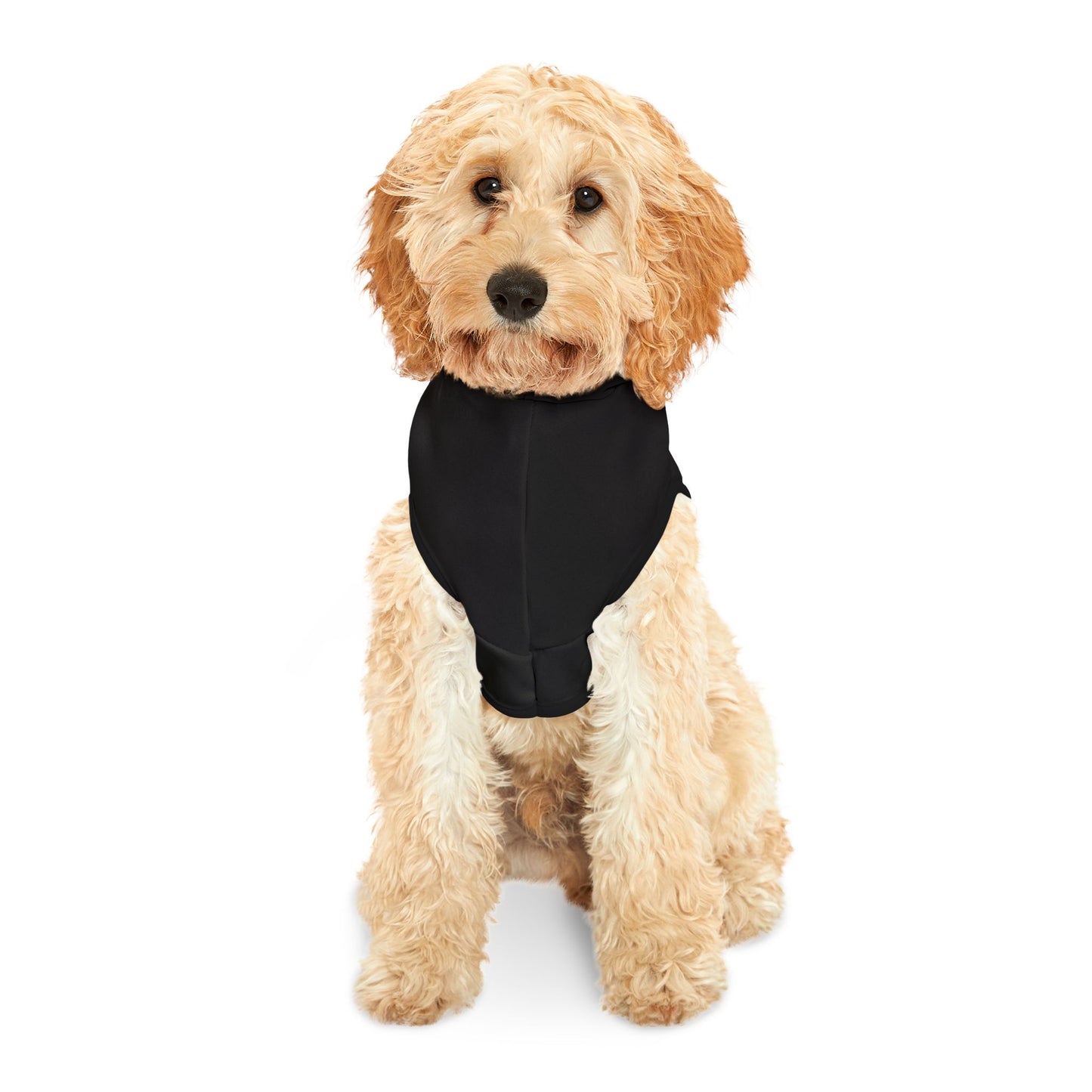 Ruff Play Pet Hoodie – Black Dog Hoodie with Yellow Grin Logo