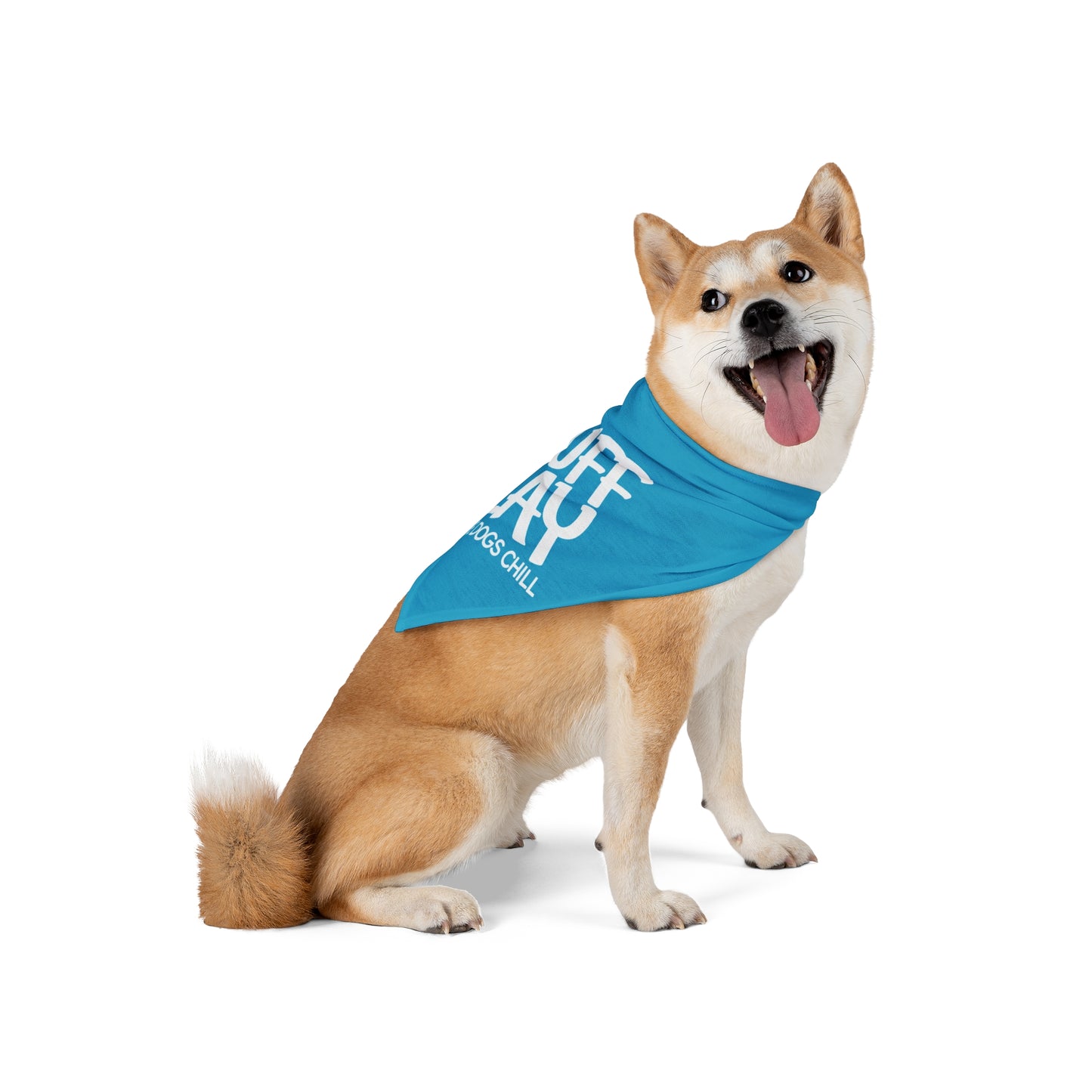 Pet Bandana - "A Ruff Play" Dog Bandana, Fun Chill Dog Accessory