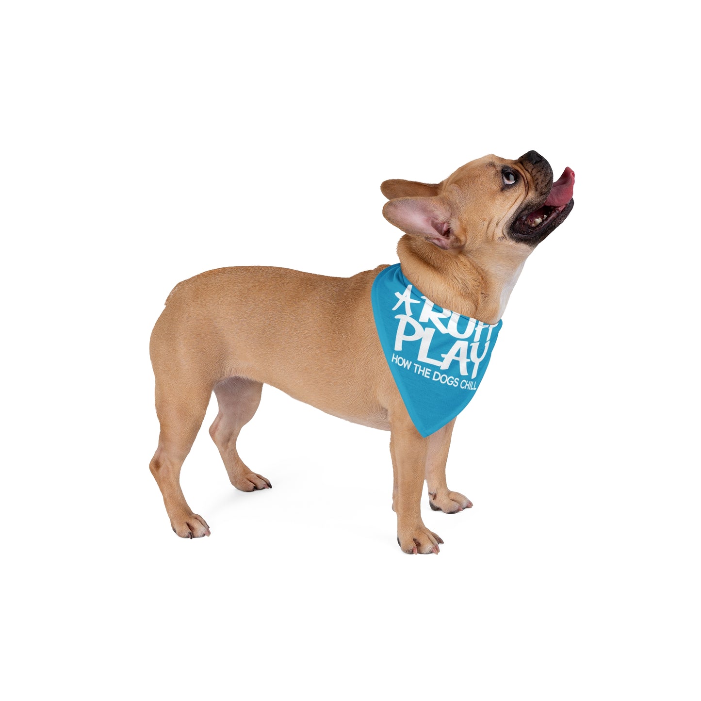 Pet Bandana - "A Ruff Play" Dog Bandana, Fun Chill Dog Accessory