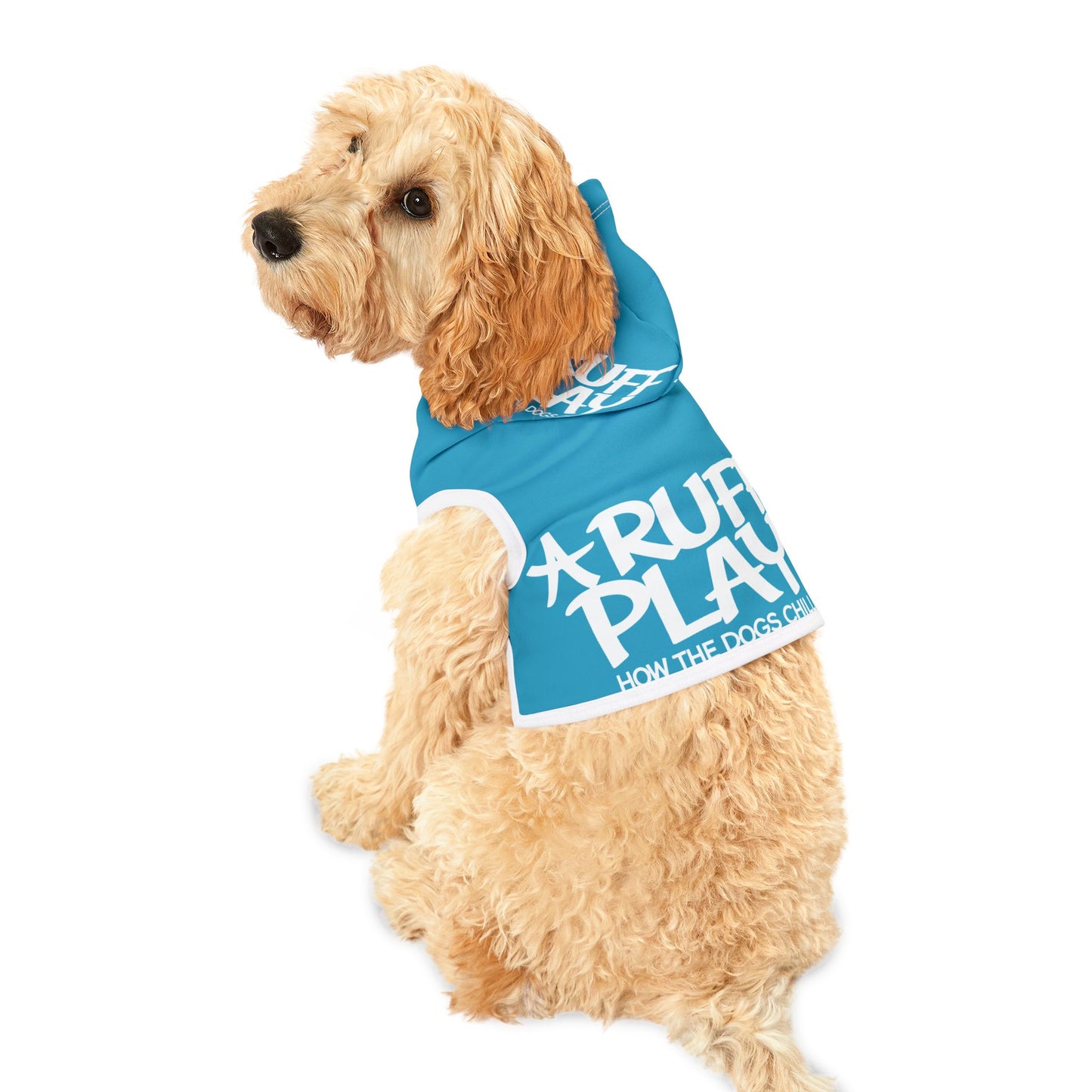 Pet Hoodie — 'A Ruff Play' Blue Dog Hoodie (How the Dogs Chill)