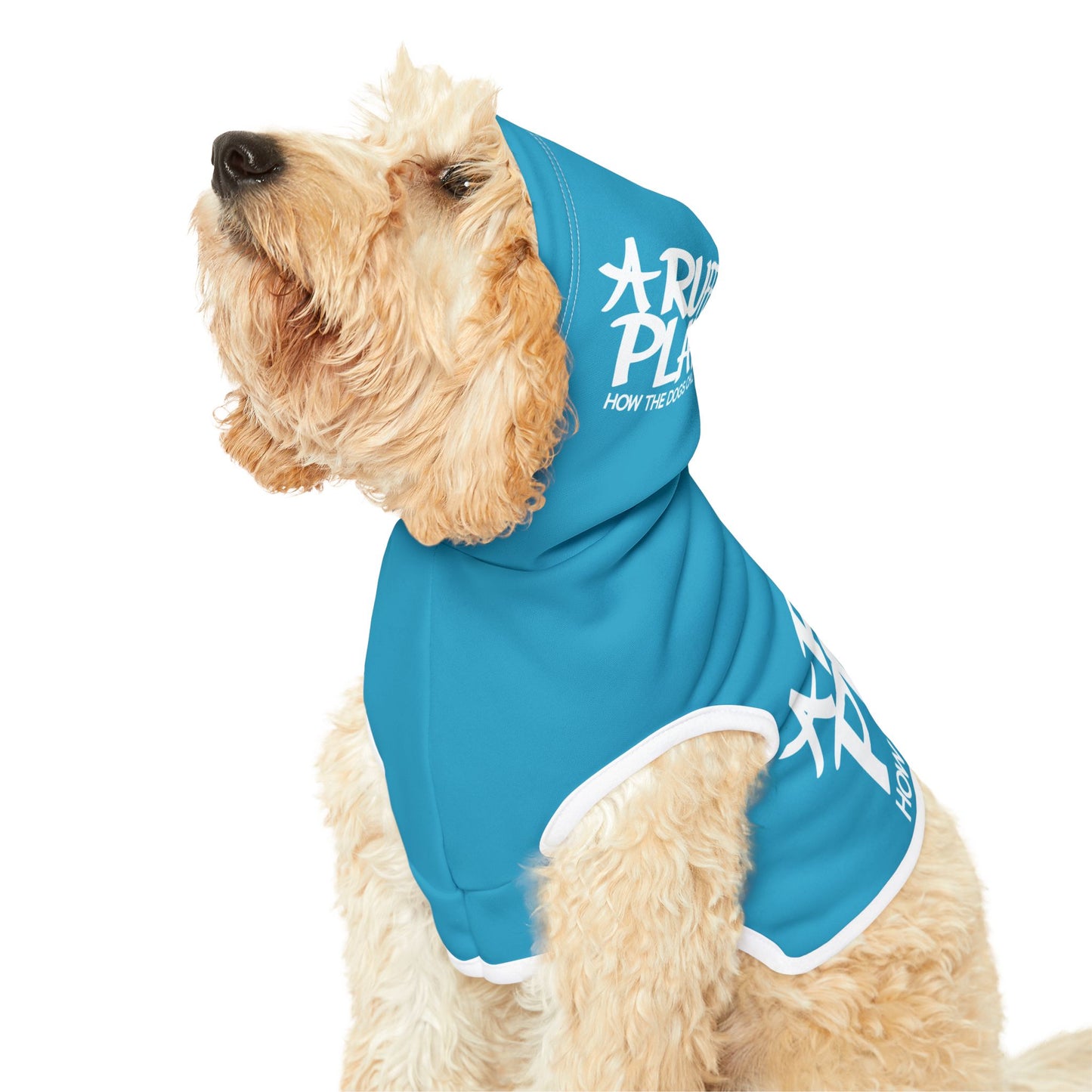 Pet Hoodie — 'A Ruff Play' Blue Dog Hoodie (How the Dogs Chill)