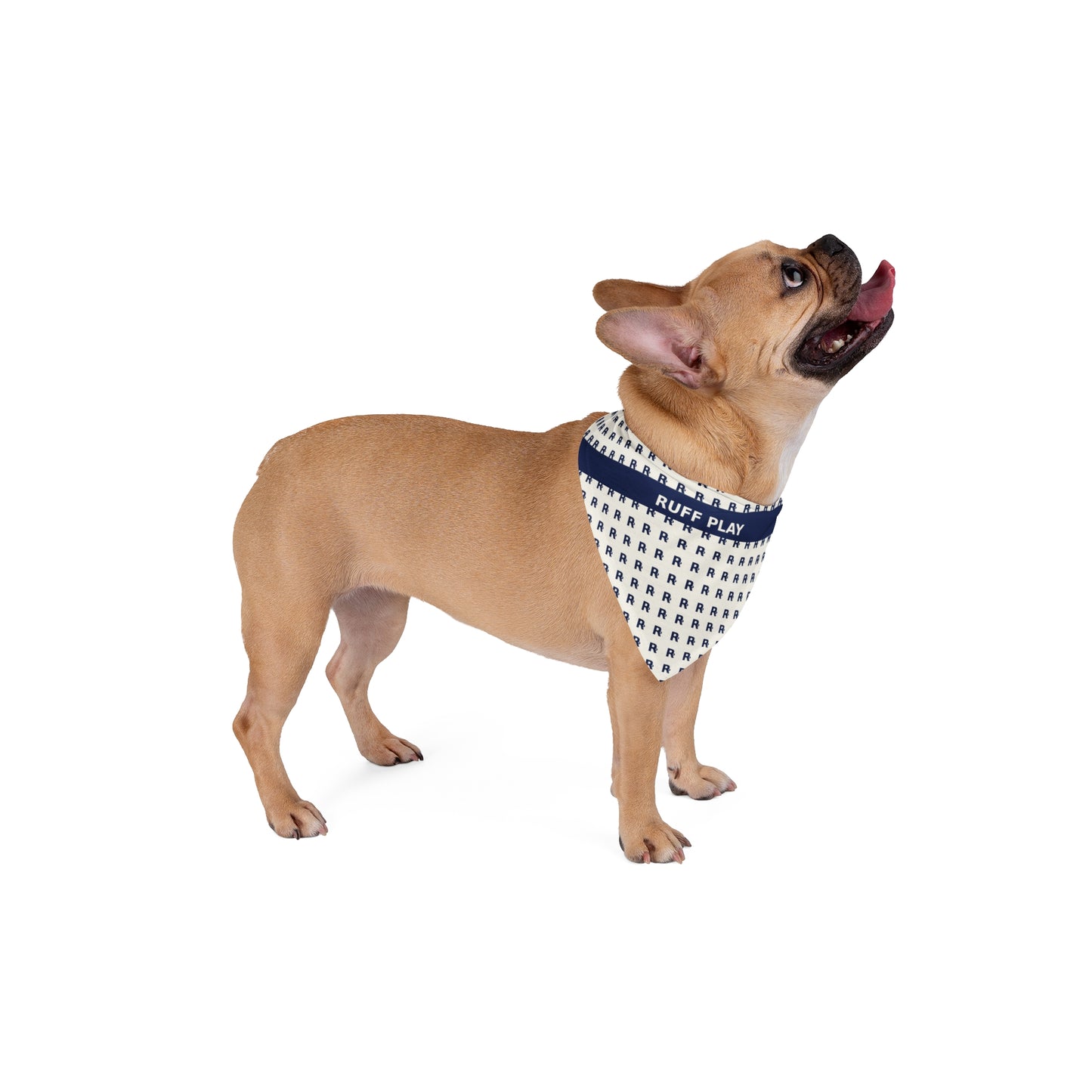 Pet Bandana - Navy "Ruff Play" Patterned Dog Bandana