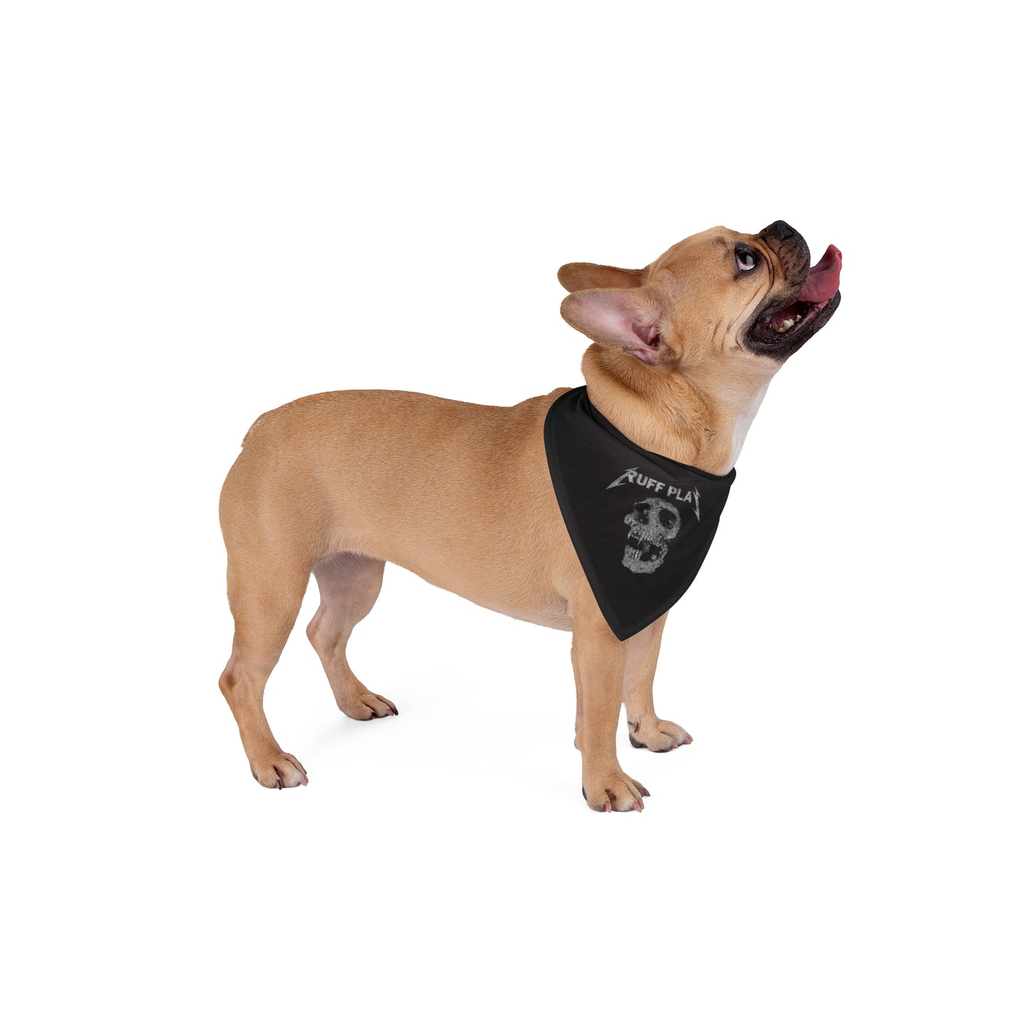 Skull 'Ruff Play' Pet Bandana — Punk Rock Dog Bandana