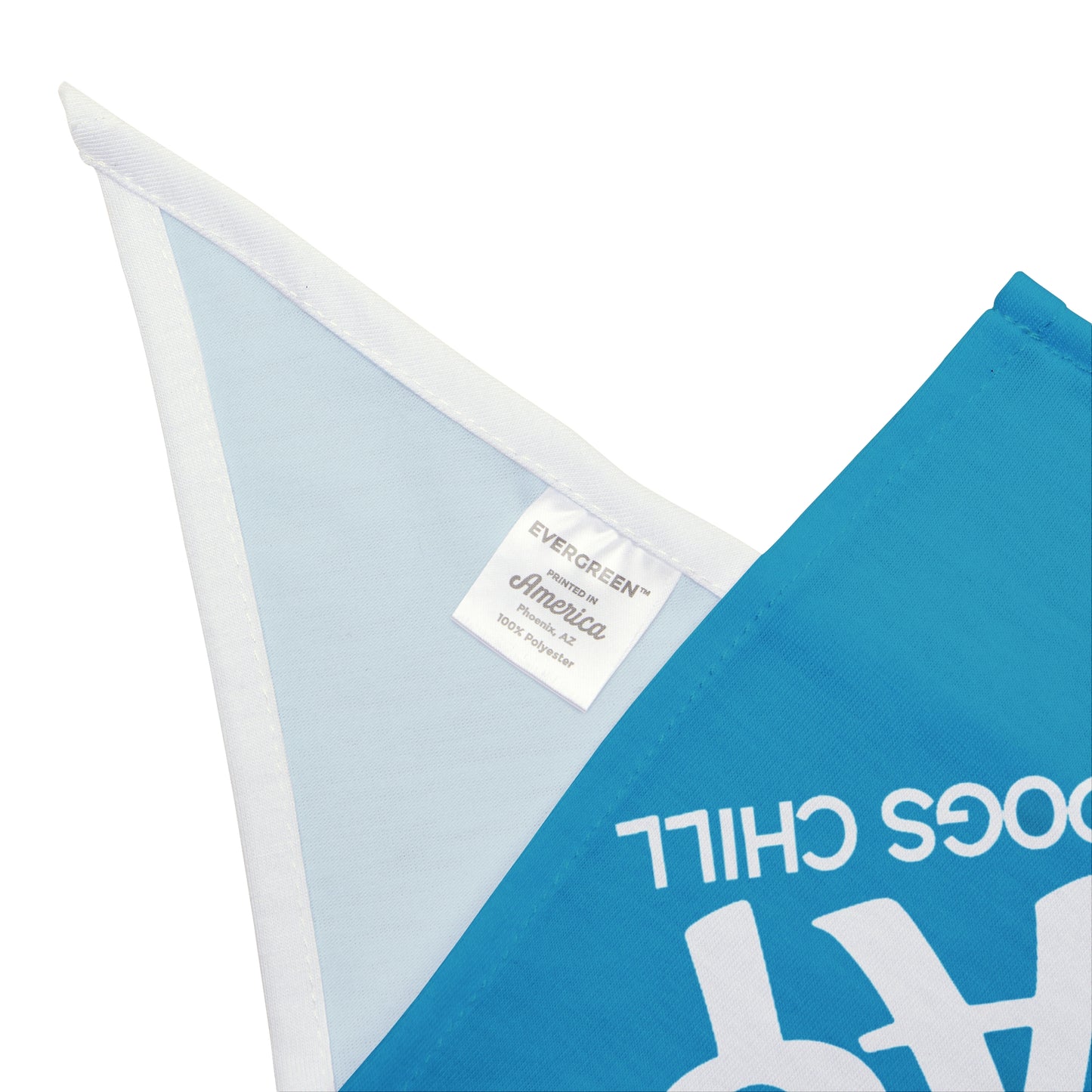 Pet Bandana - "A Ruff Play" Dog Bandana, Fun Chill Dog Accessory
