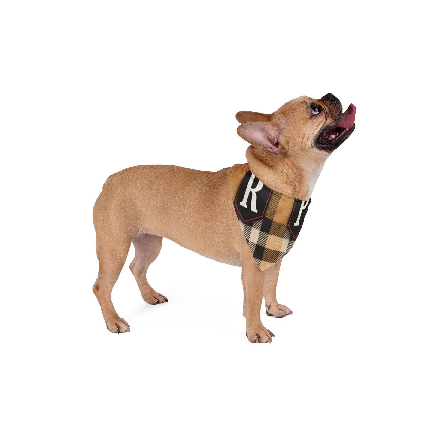 Plaid Monogram Pet Bandana — Classic Tan Check with RP Initials