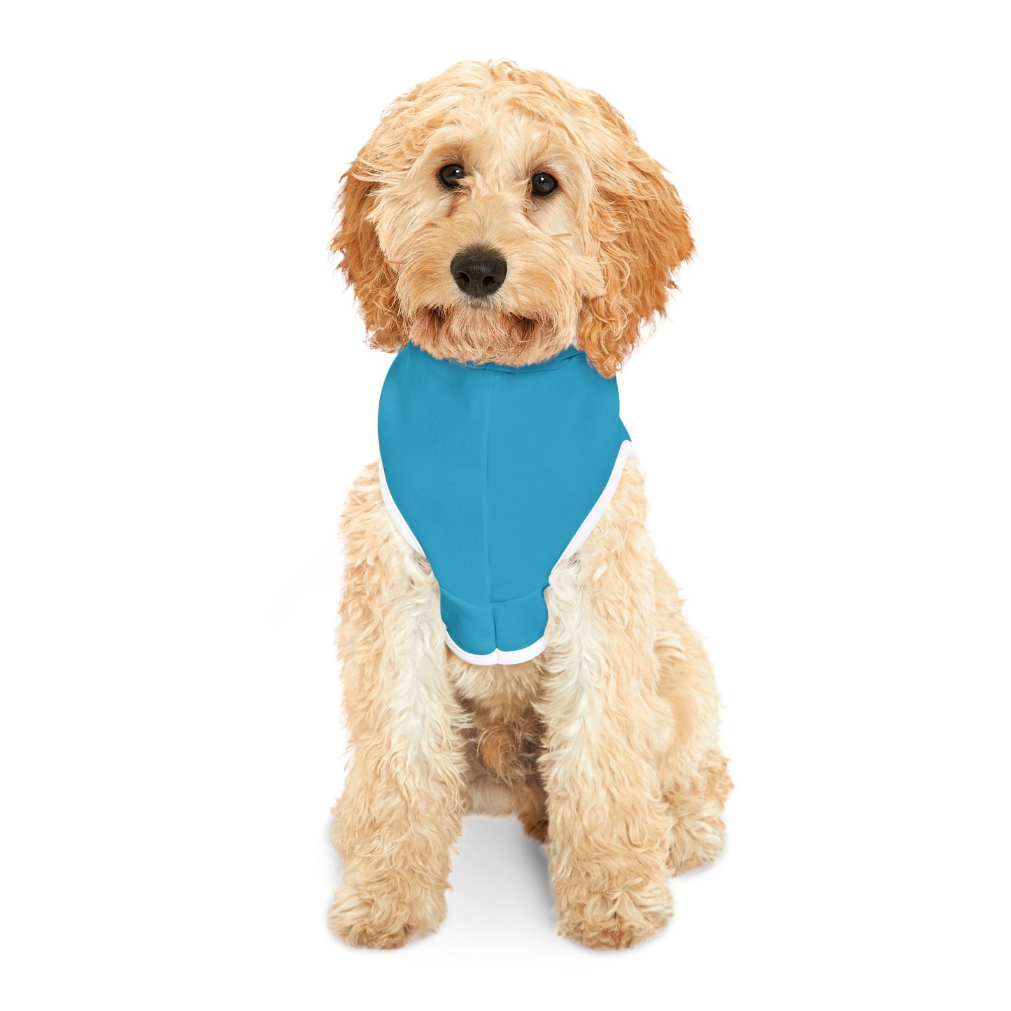 Pet Hoodie — 'A Ruff Play' Blue Dog Hoodie (How the Dogs Chill)