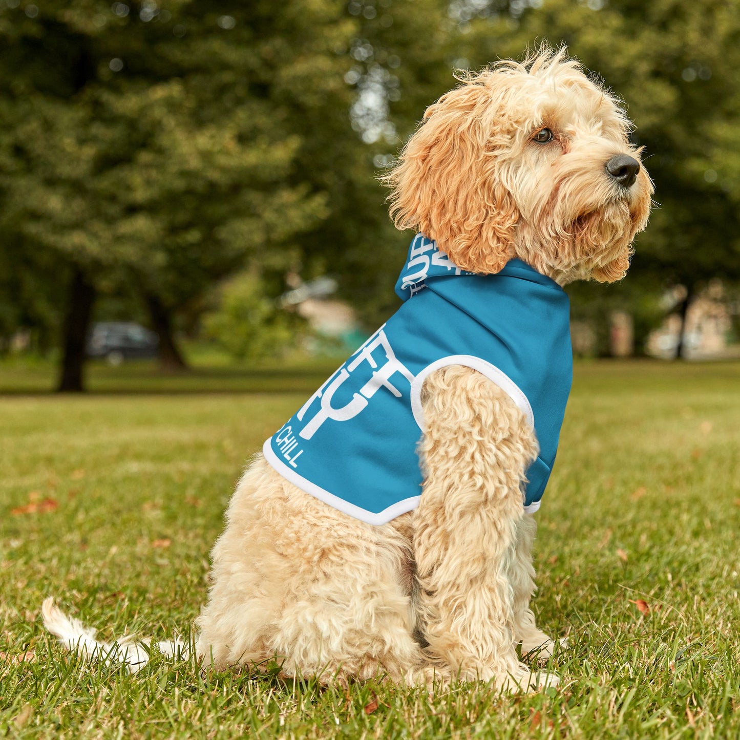 Pet Hoodie — 'A Ruff Play' Blue Dog Hoodie (How the Dogs Chill)