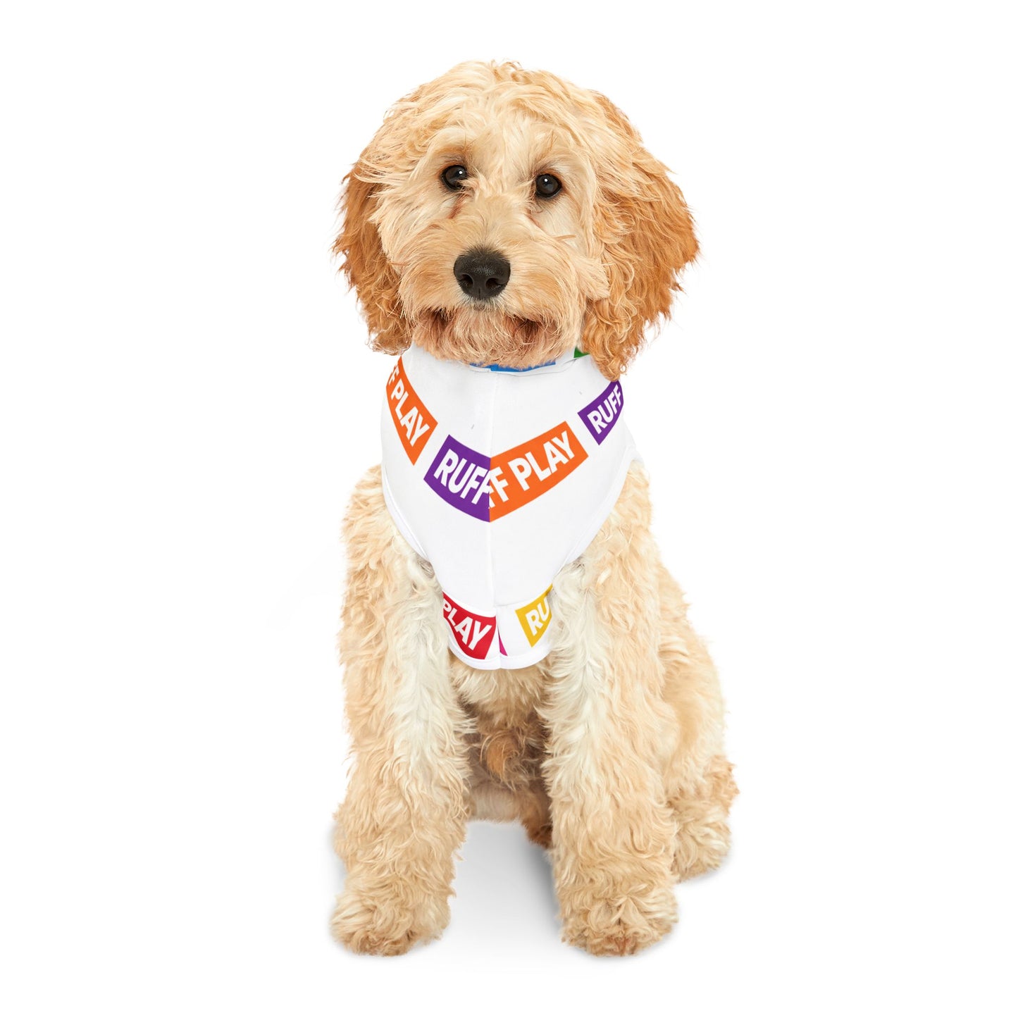 Ruff Play Colorblock Pet Hoodie — Lightweight Breathable Dog Hoodie with Playful Logo