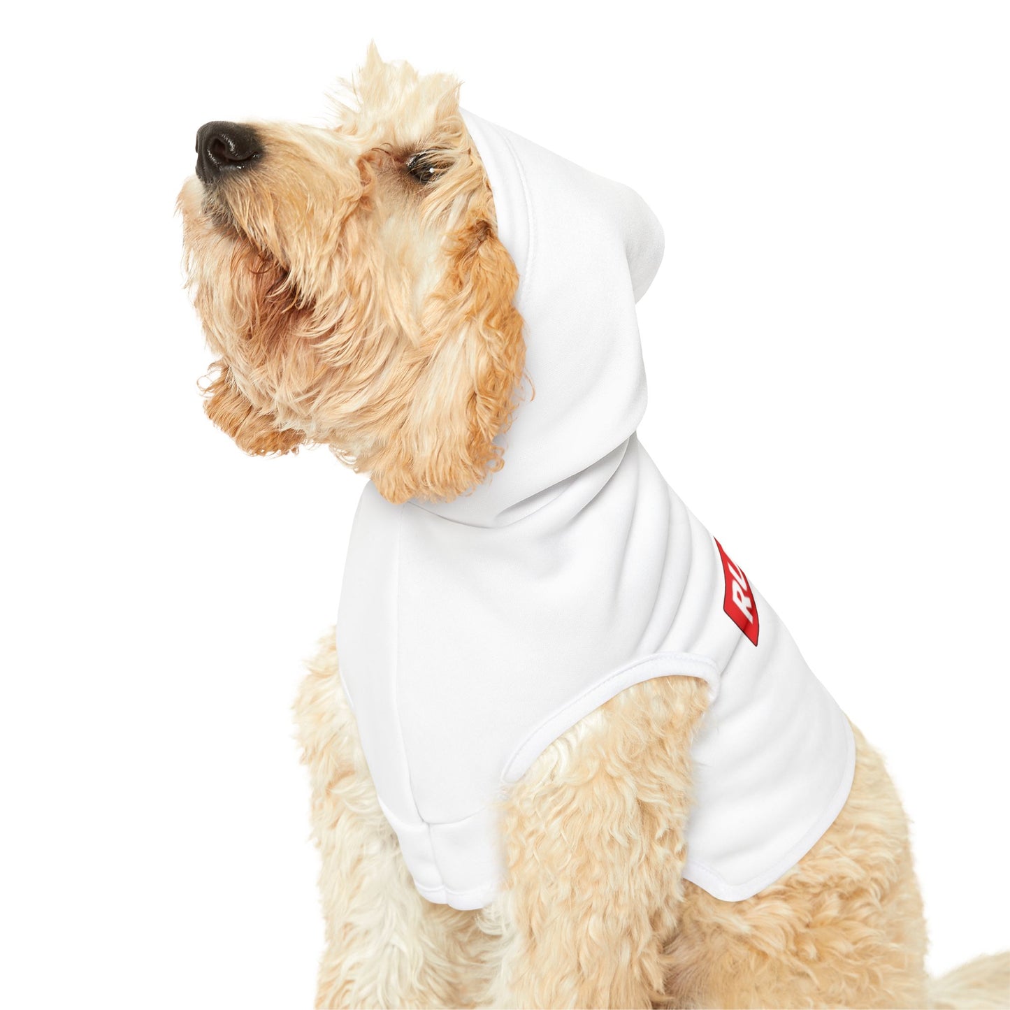 Ruff Play Pet Hoodie — Black Dog Hoodie with 'RUFF PLAY' Logo